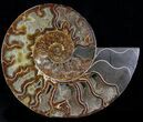 Wide Split Ammonite Pair - Agatized #37034-1